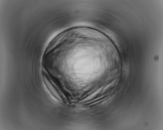 X0000092261199200709281158