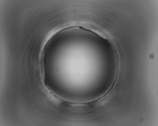 X0000092261200200709281158