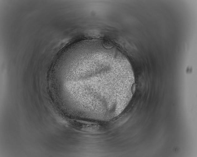 X0000092261201200709281157