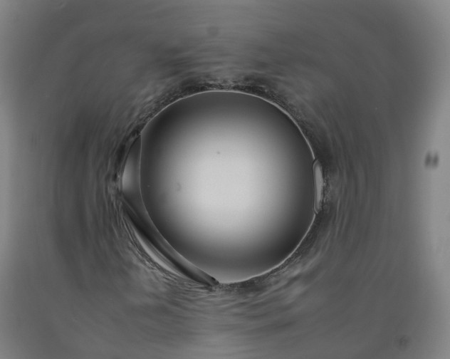 X0000092261202200709281157