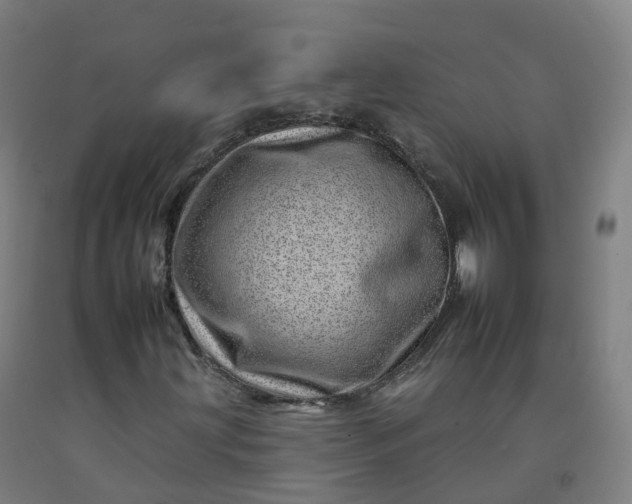 X0000092261203200709281157