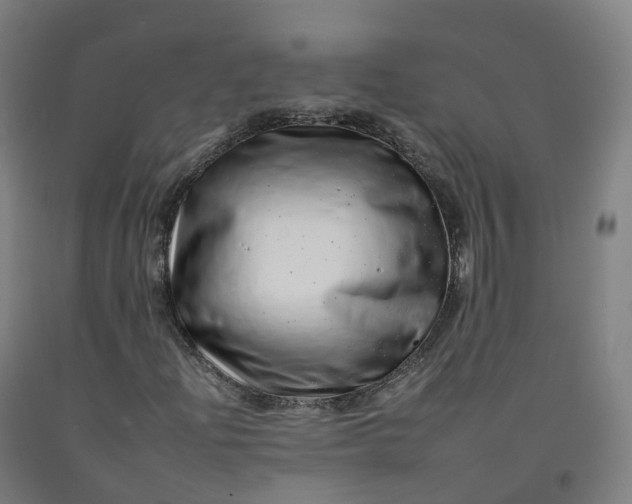 X0000092261204200709281157