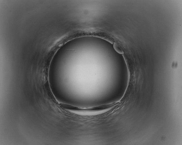 X0000092261205200709281157