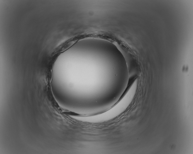 X0000092261206200709281157