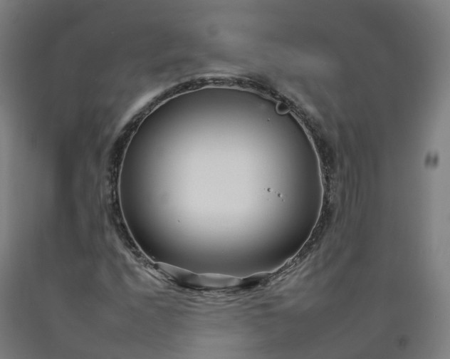 X0000092261208200709281157