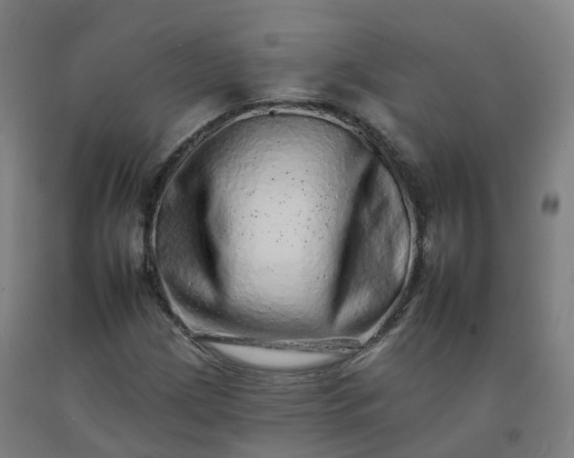 X0000092261209200709281157