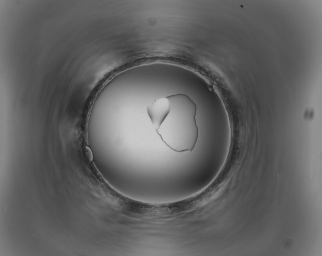 X0000092261210200709281157