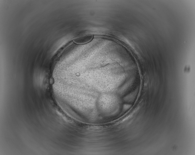 X0000092261211200709281157