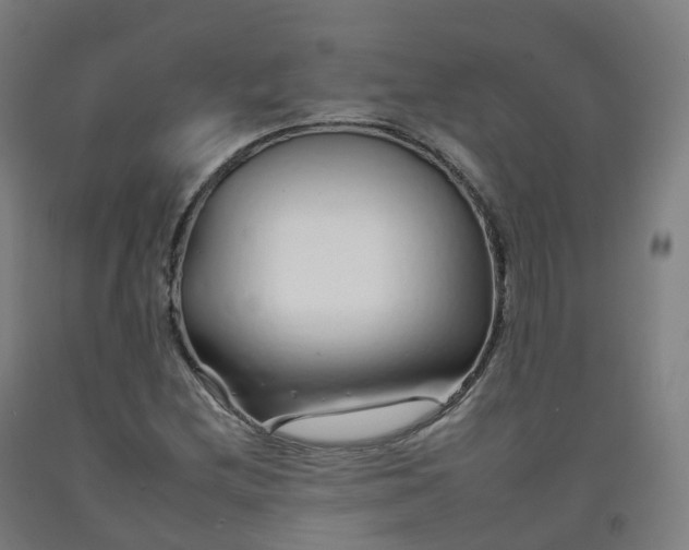 X0000092261212200709281157