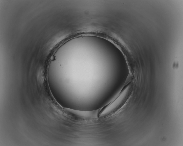 X0000092261213200709281157