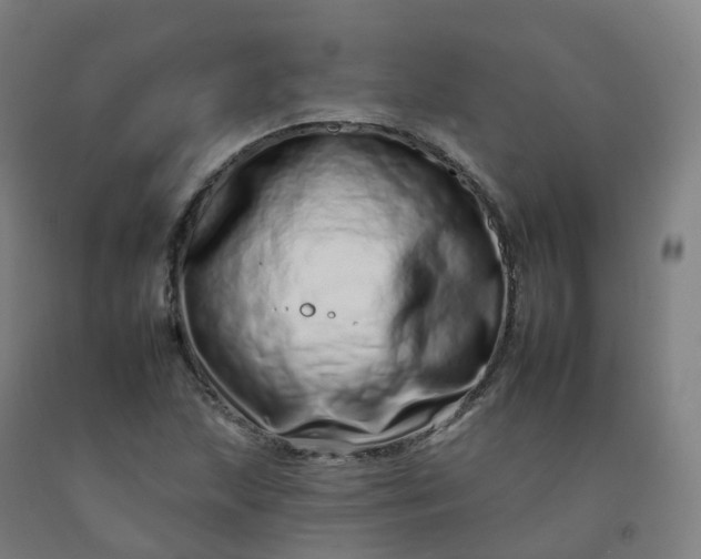 X0000092261215200709281157