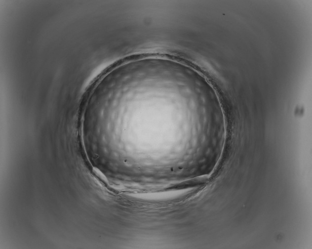 X0000092261216200709281157