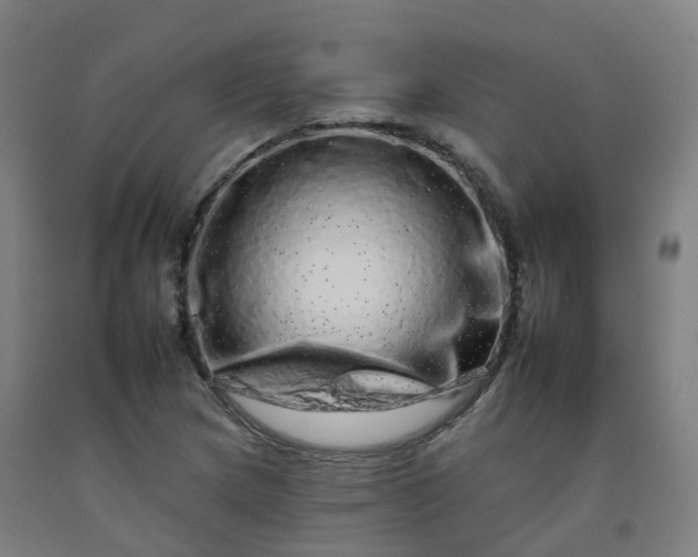 X0000092261217200709281157