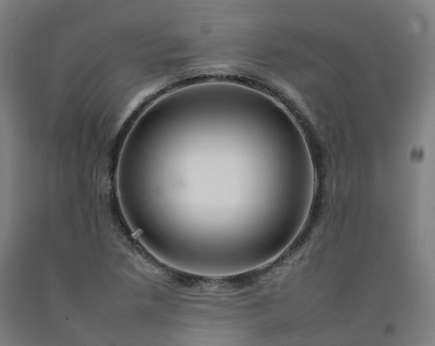 X0000092261218200709281157