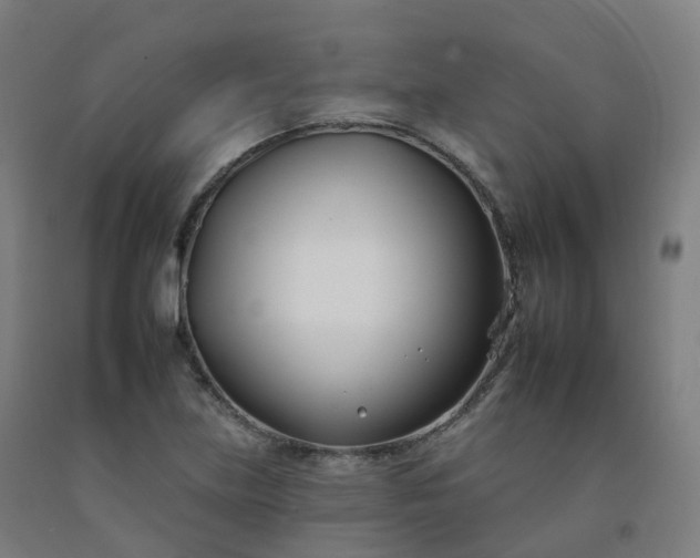 X0000092261219200709281157