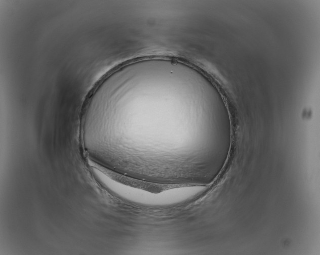 X0000092261220200709281157