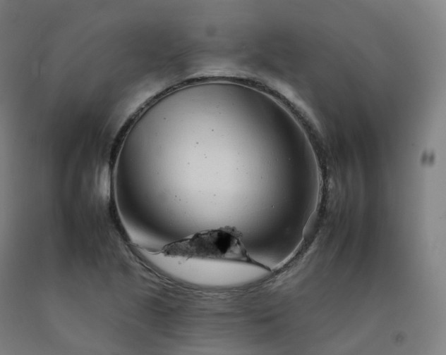 X0000092261221200709281157