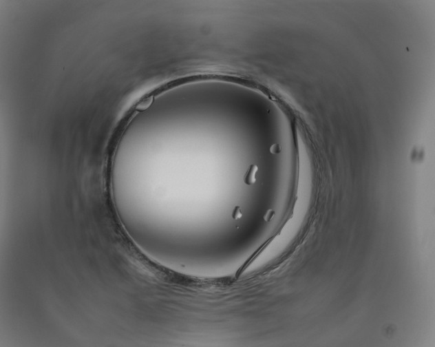 X0000092261222200709281157