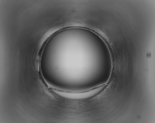 X0000092261223200709281157