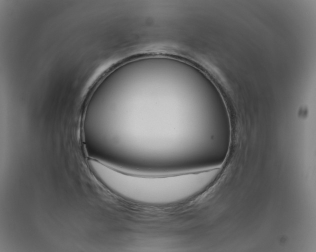 X0000092261224200709281157