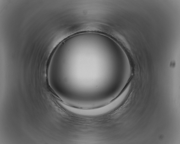 X0000092261226200709281157