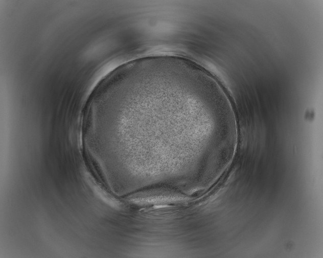 X0000092261227200709281157