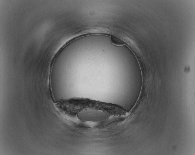 X0000092261228200709281157