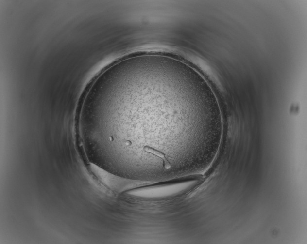 X0000092261229200709281157