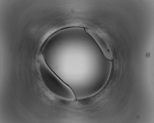 X0000092261230200709281157