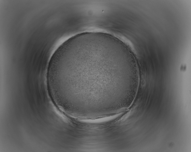 X0000092261231200709281157