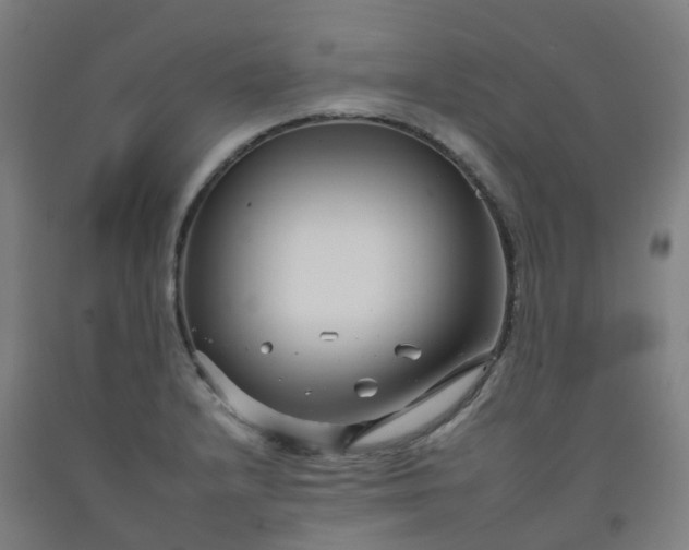 X0000092261232200709281157