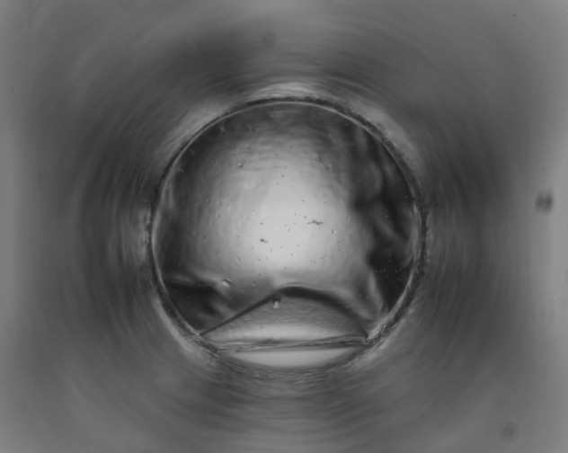 X0000092261233200709281157