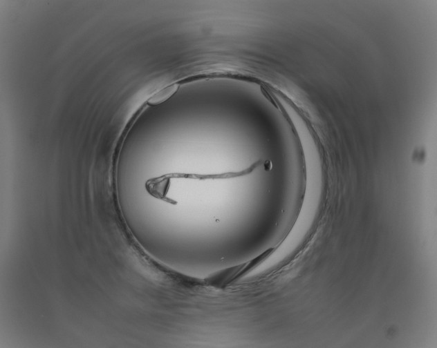 X0000092261234200709281157