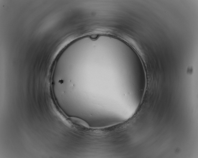 X0000092261235200709281157