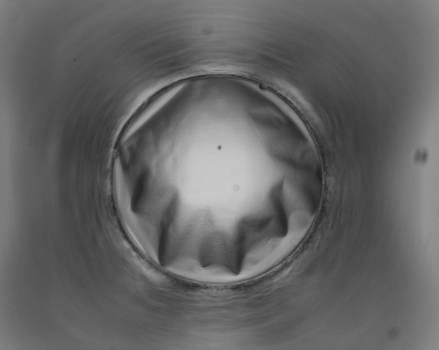 X0000092261236200709281157