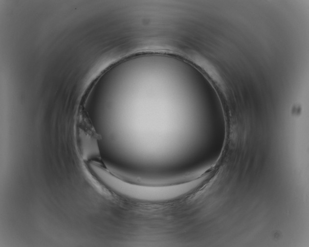 X0000092261237200709281158