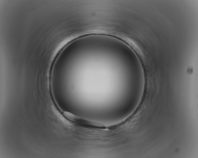 X0000092261238200709281158