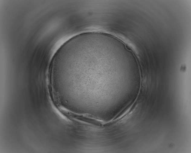 X0000092261239200709281158