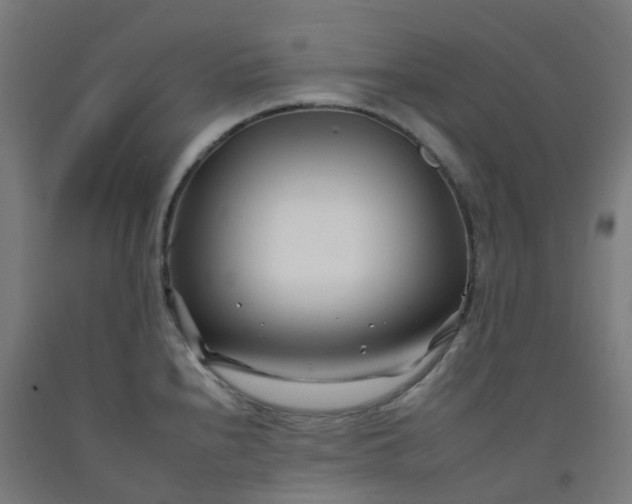 X0000092261240200709281158