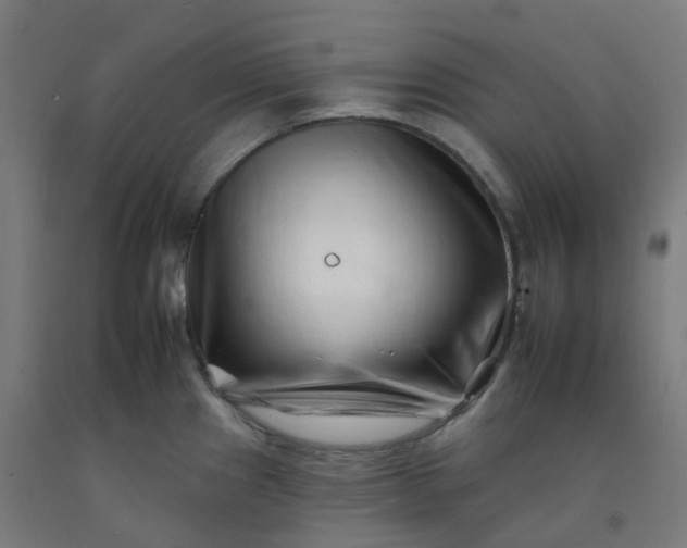 X0000092261241200709281158