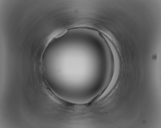 X0000092261242200709281158