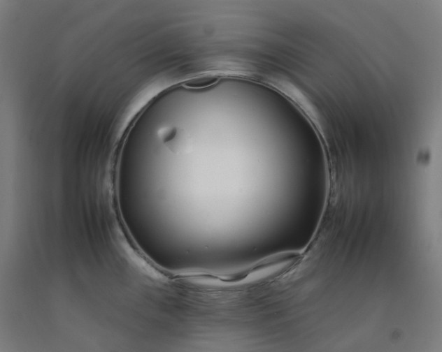 X0000092261243200709281158