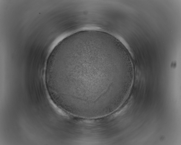 X0000092261245200709281158