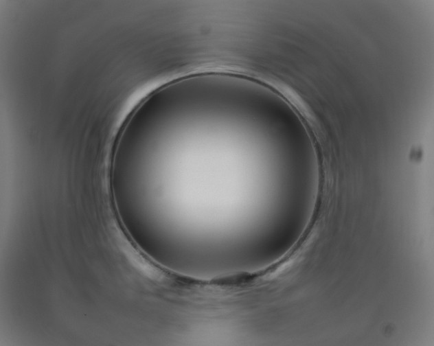 X0000092261246200709281158