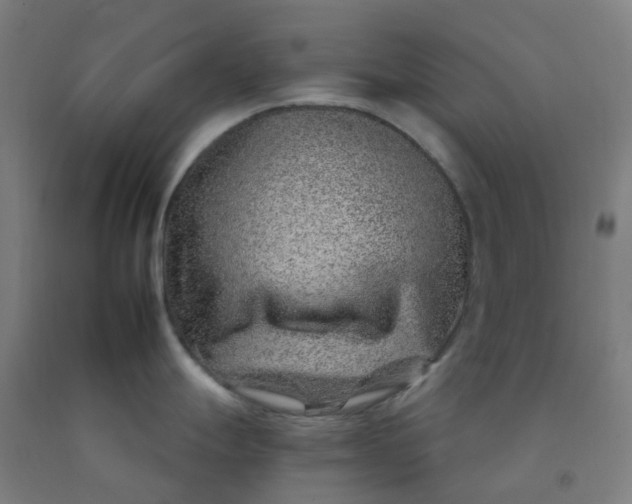 X0000092261247200709281158