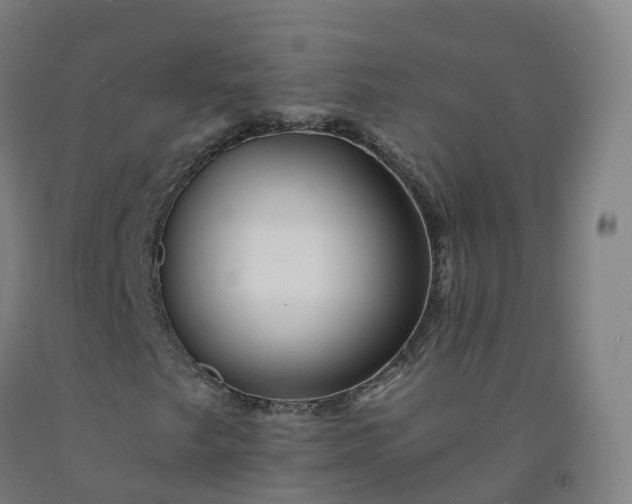 X0000092261249200709281157