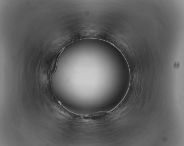 X0000092261250200709281157