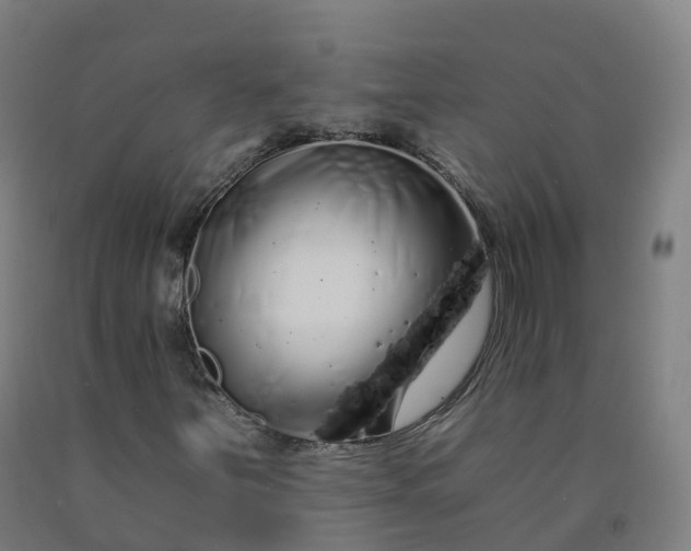 X0000092261251200709281157