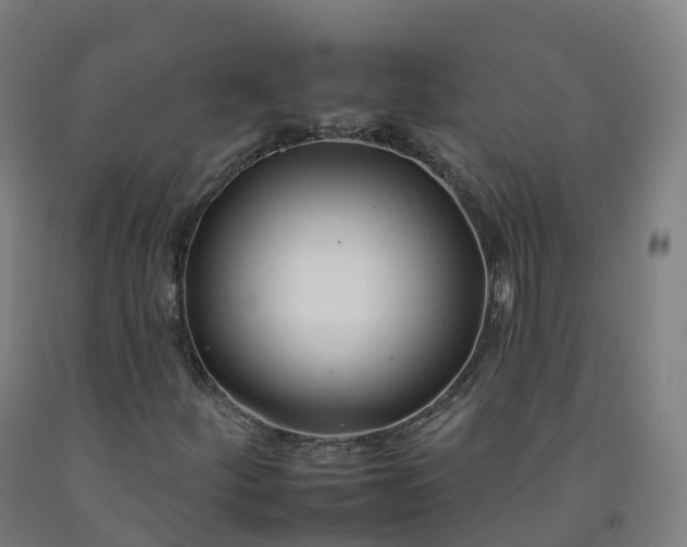 X0000092261252200709281157