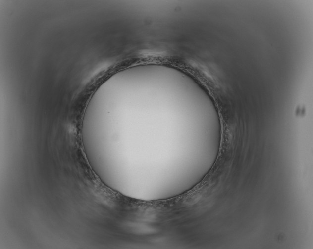 X0000092261254200709281157